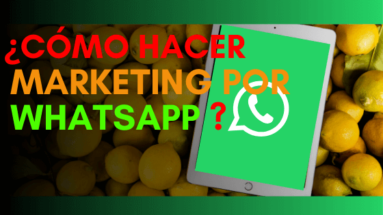 ¿Cómo Hacer Marketing Por WhatsApp?